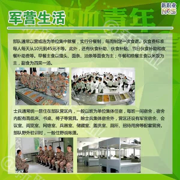 2015年大学生征兵入伍政策
